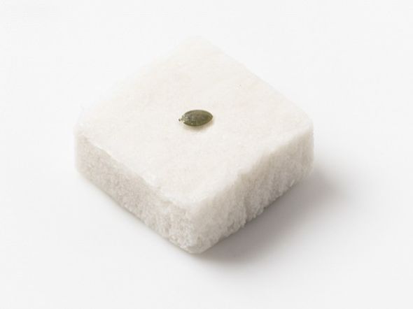 baekmi-seolgi.jpg